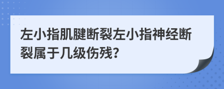 左小指肌腱断裂左小指神经断裂属于几级伤残？