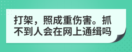 打架，照成重伤害。抓不到人会在网上通缉吗