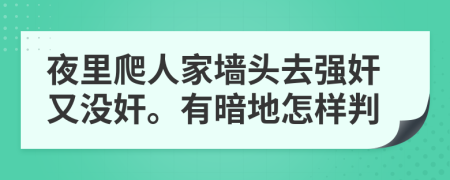 夜里爬人家墙头去强奸又没奸。有暗地怎样判