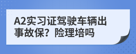 A2实习证驾驶车辆出事故保？险理培吗