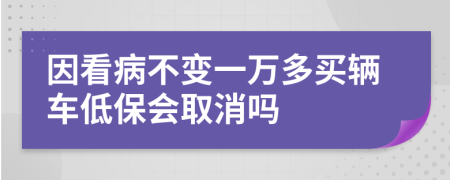 因看病不变一万多买辆车低保会取消吗