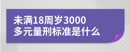 未满18周岁3000多元量刑标准是什么