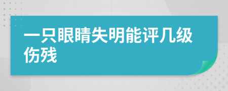 一只眼睛失明能评几级伤残