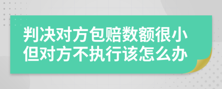 判决对方包赔数额很小但对方不执行该怎么办