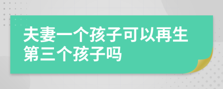 夫妻一个孩子可以再生第三个孩子吗