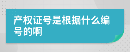 产权证号是根据什么编号的啊