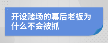 开设赌场的幕后老板为什么不会被抓