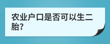 农业户口是否可以生二胎？