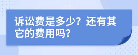 诉讼费是多少？还有其它的费用吗？