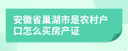 安徽省巢湖市是农村户口怎么买房产证