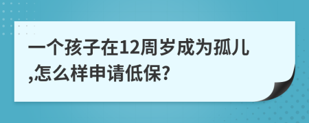 一个孩子在12周岁成为孤儿,怎么样申请低保?