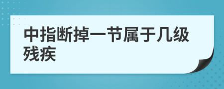 中指断掉一节属于几级残疾