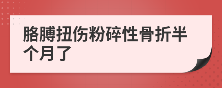 胳膊扭伤粉碎性骨折半个月了