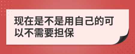 现在是不是用自己的可以不需要担保