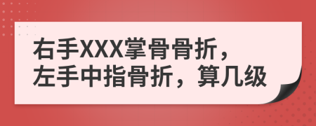 右手XXX掌骨骨折，左手中指骨折，算几级