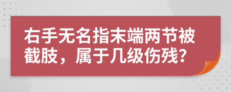 右手无名指末端两节被截肢，属于几级伤残？