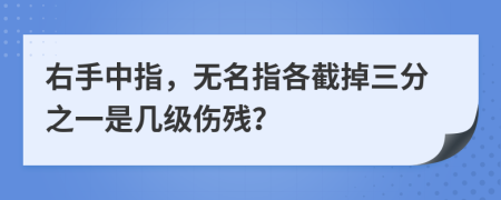 右手中指，无名指各截掉三分之一是几级伤残？