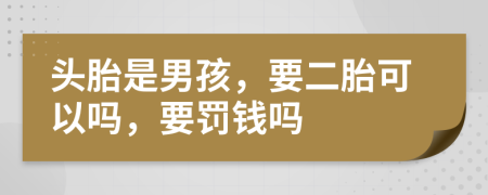 头胎是男孩，要二胎可以吗，要罚钱吗