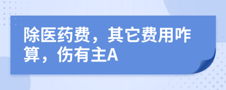 除医药费，其它费用咋算，伤有主A