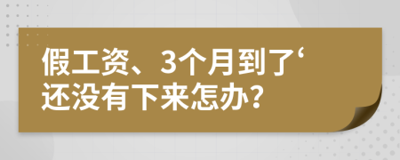 假工资、3个月到了‘还没有下来怎办？