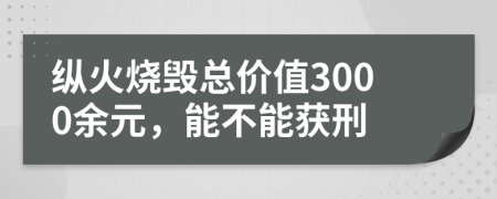 纵火烧毁总价值3000余元，能不能获刑