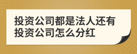 投资公司都是法人还有投资公司怎么分红