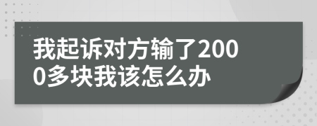 我起诉对方输了2000多块我该怎么办