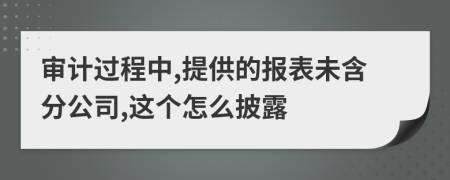 审计过程中,提供的报表未含分公司,这个怎么披露