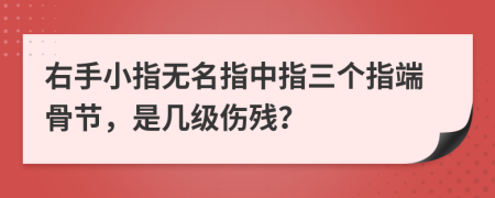 右手小指无名指中指三个指端骨节，是几级伤残？