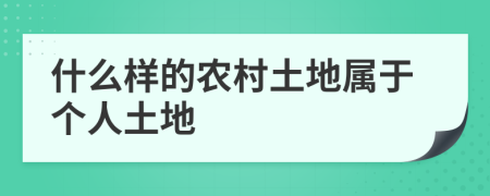 什么样的农村土地属于个人土地