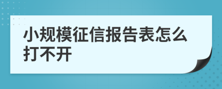 小规模征信报告表怎么打不开