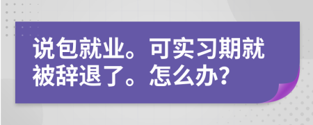 说包就业。可实习期就被辞退了。怎么办？