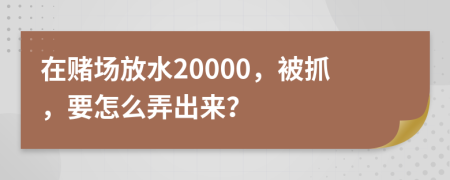 在赌场放水20000，被抓，要怎么弄出来？