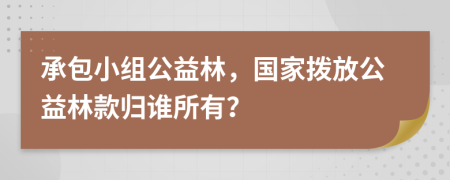 承包小组公益林，国家拨放公益林款归谁所有？