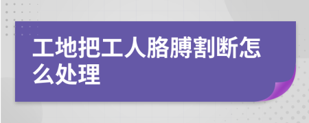 工地把工人胳膊割断怎么处理