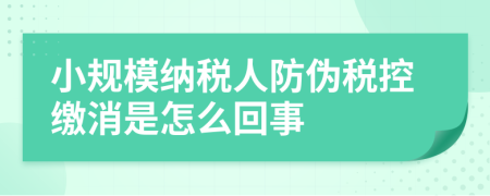 小规模纳税人防伪税控缴消是怎么回事