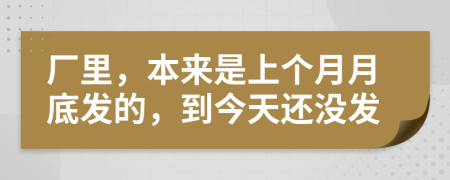 厂里，本来是上个月月底发的，到今天还没发