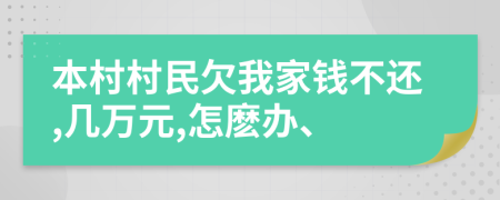 本村村民欠我家钱不还,几万元,怎麽办、