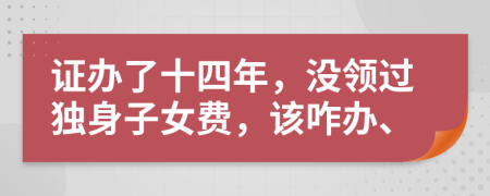 证办了十四年，没领过独身子女费，该咋办、