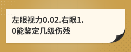 左眼视力0.02.右眼1.0能鉴定几级伤残