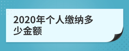 2020年个人缴纳多少金额