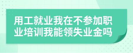 用工就业我在不参加职业培训我能领失业金吗