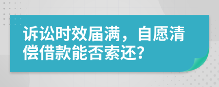 诉讼时效届满，自愿清偿借款能否索还？