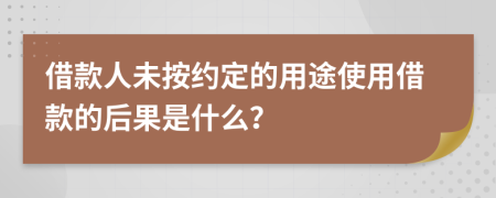 借款人未按约定的用途使用借款的后果是什么？