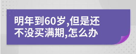 明年到60岁,但是还不没买满期,怎么办