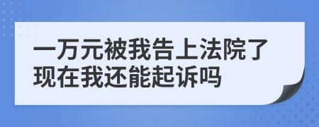 一万元被我告上法院了现在我还能起诉吗