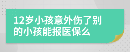 12岁小孩意外伤了别的小孩能报医保么