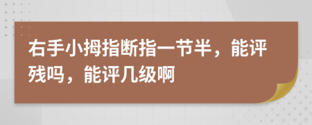 右手小拇指断指一节半，能评残吗，能评几级啊