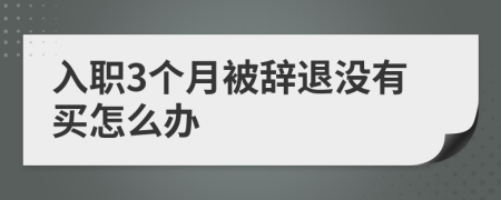 入职3个月被辞退没有买怎么办