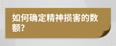 如何确定精神损害的数额？